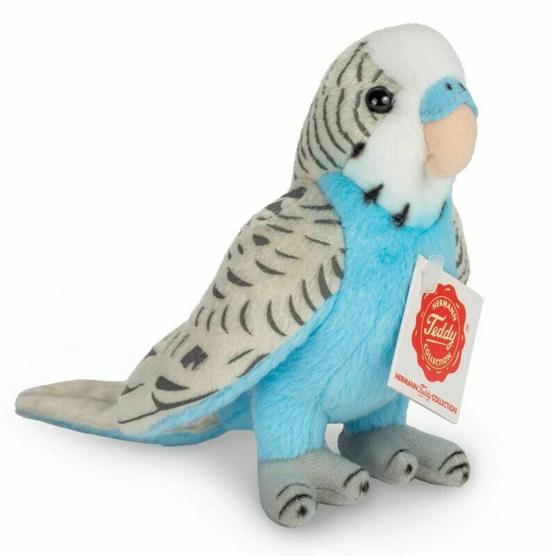 Wellensittich Blau - Hermann Teddy Wellensittich Blau - Hermann Teddy