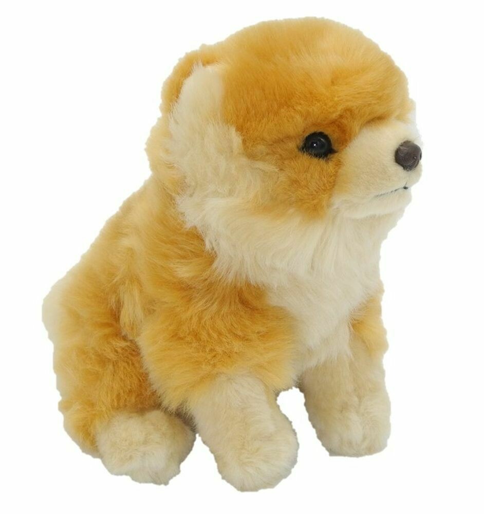 Zwergspitz - Uni-Toys