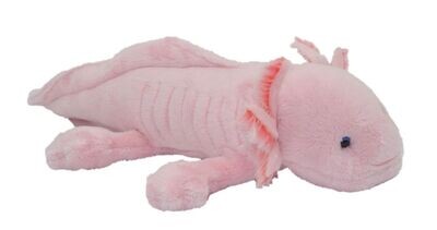 Axolotl - Cornelißen