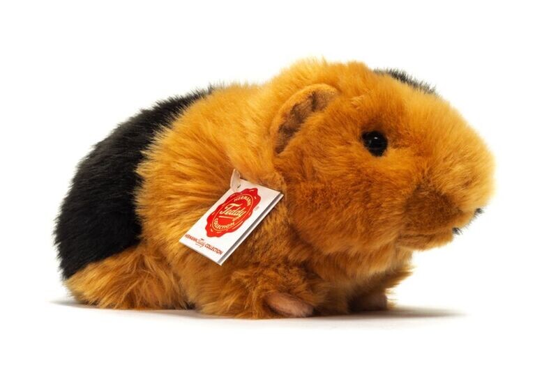 Meerschweinchen - Hermann Teddy Meerschweinchen - Hermann Teddy