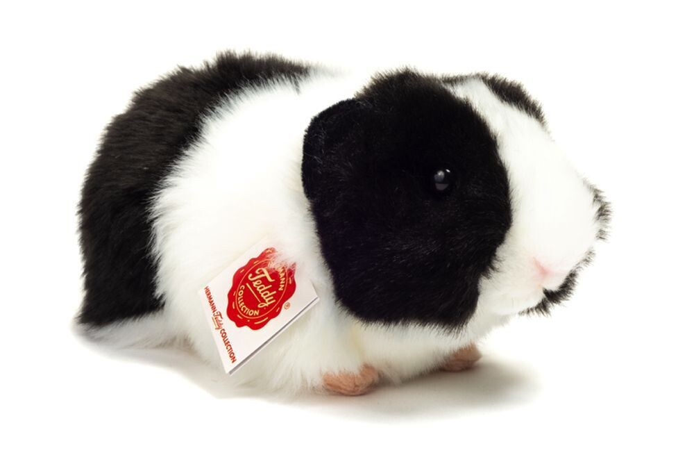 Meerschweinchen - Hermann Teddy