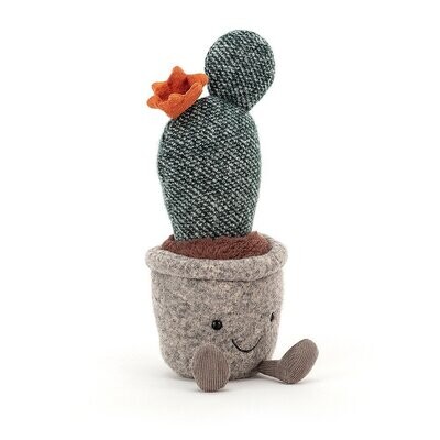 Kaktus Silly Succulent Prickly Pear Cactus - Funky Florist