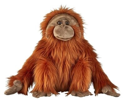 Orang-Utan - Ravensden