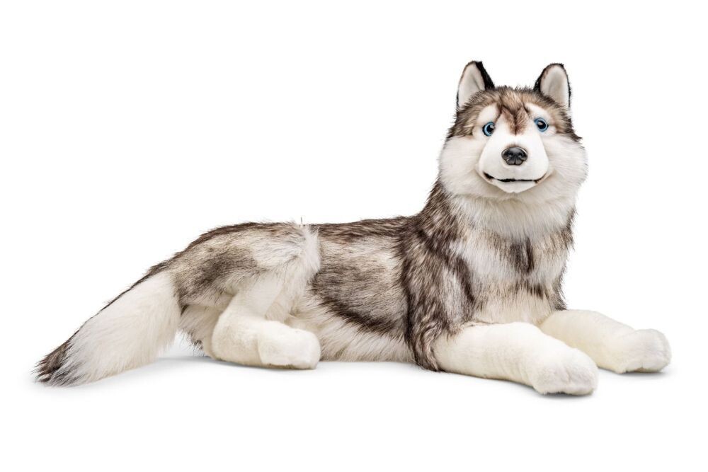 Husky - Uni-Toys