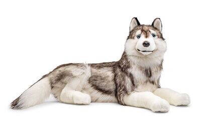 Husky - Uni-Toys