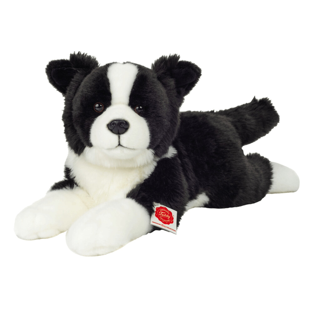 Border Collie liegend - Hermann Teddy