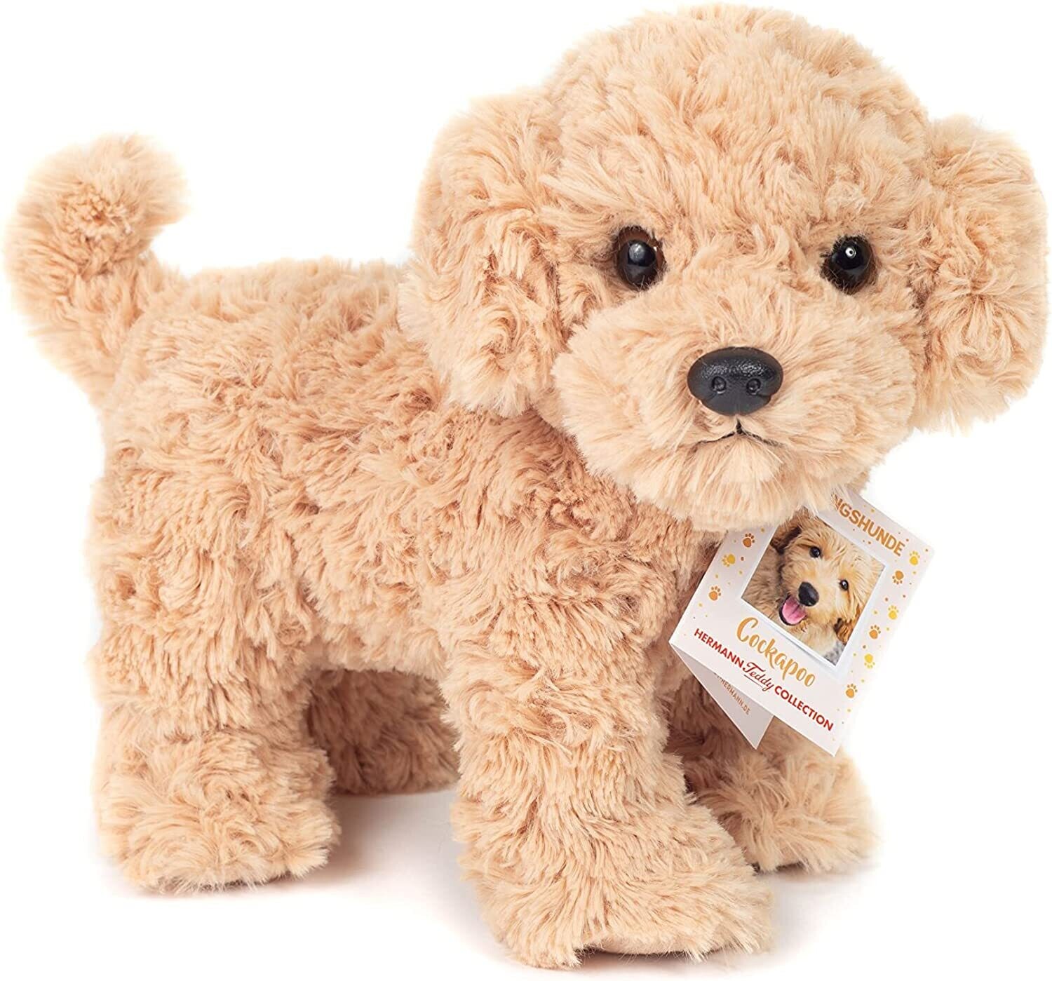 Cockapoo stehend - Hermann Teddy