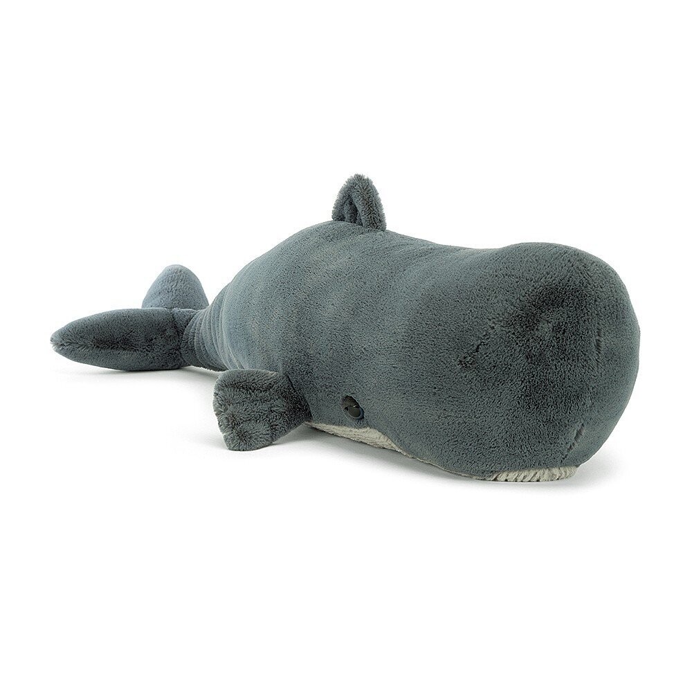 Pottwal Sullivan The Sperm Whale - Ocean Life