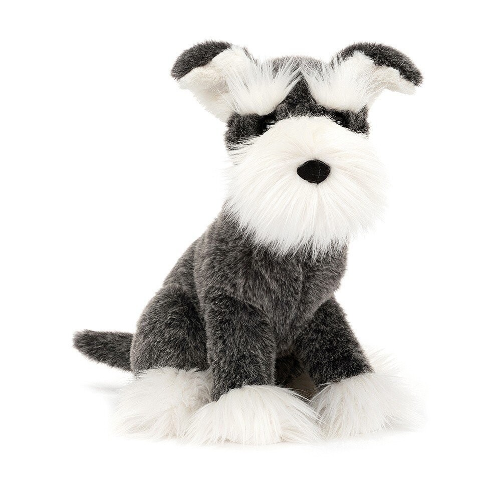 Hund Lawrence Schnauzer - Dogs & Puppies