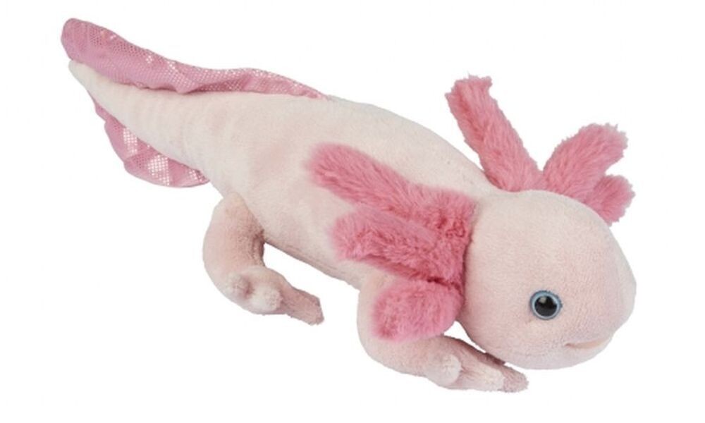 Axolotl - Ravensden