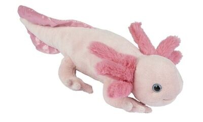 Axolotl - Ravensden