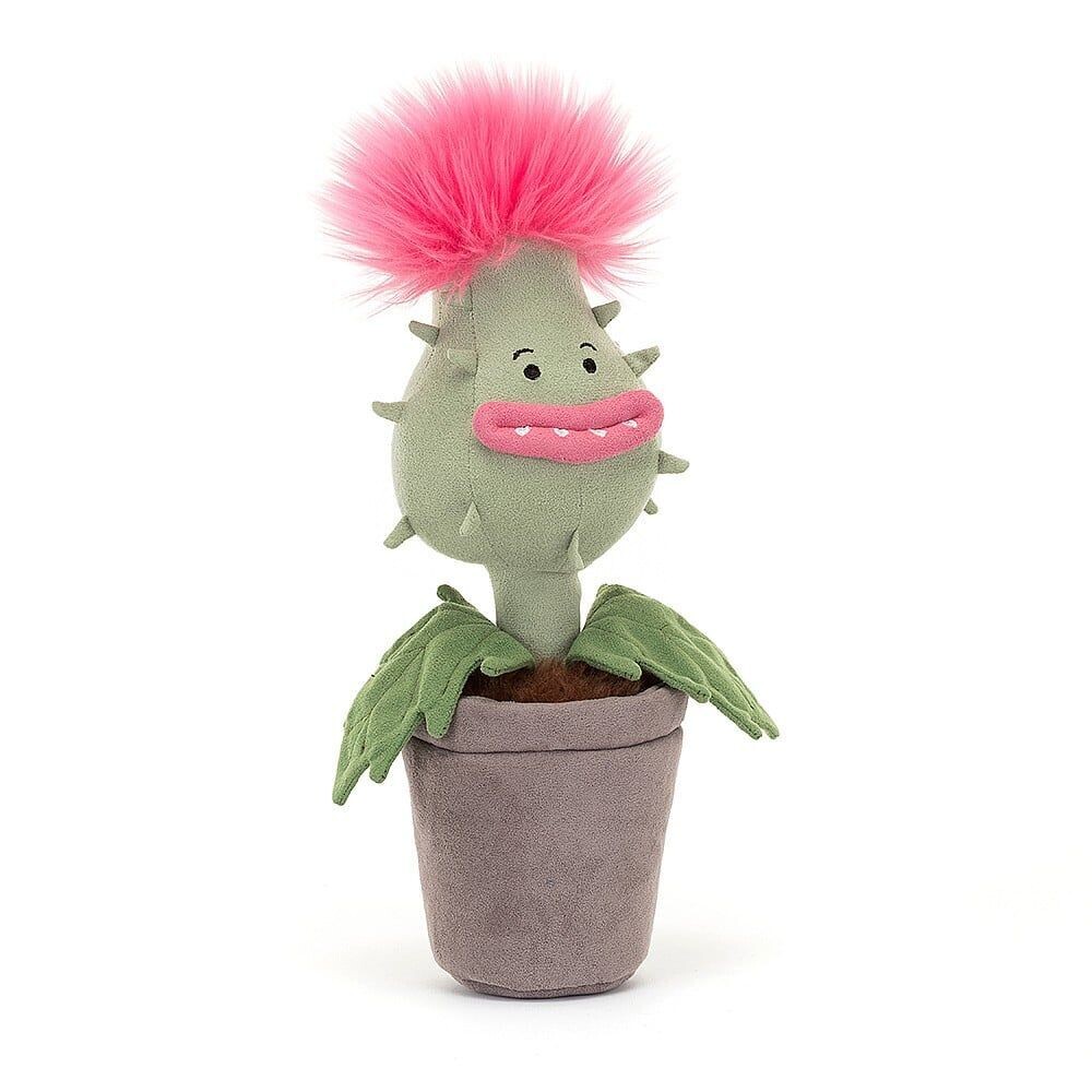 Priscilla Fleischfressende Pflanze - Plants & Flowers