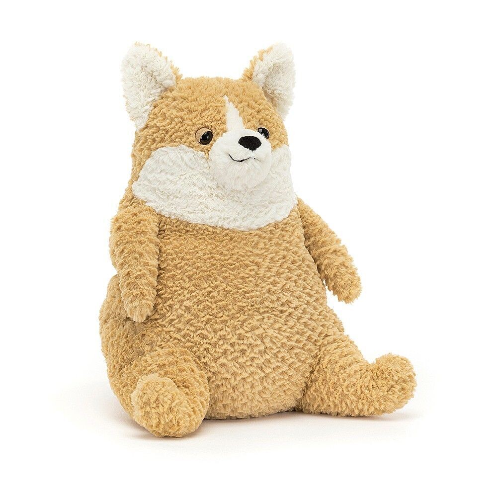 Amore Hund Corgi - Dogs & Puppies