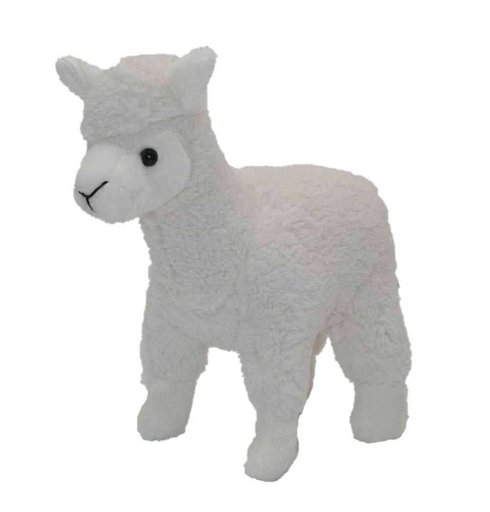 Lama Weiß - Cornelißen