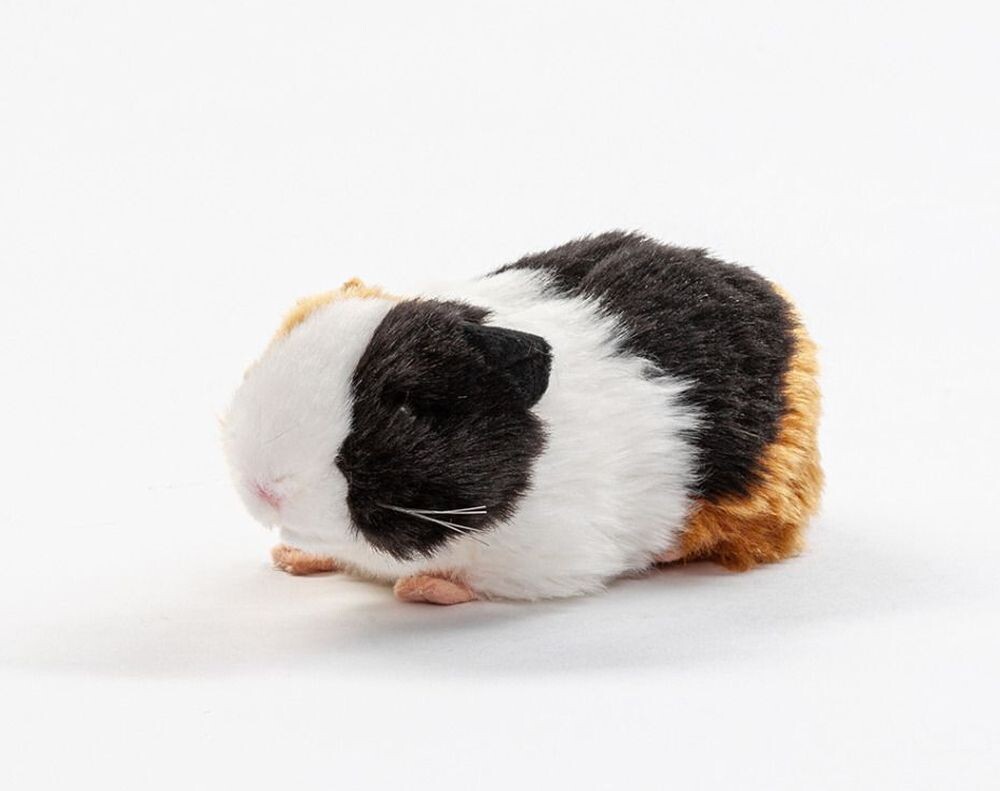 Meerschweinchen Dreifarbig - Uni-Toys