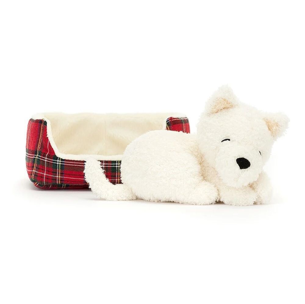 Westie im Bett,  Napping Nipper Dog - Dogs & Puppies