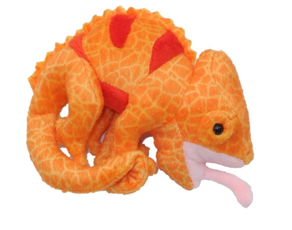 Chamäleon Orange - Cornelißen