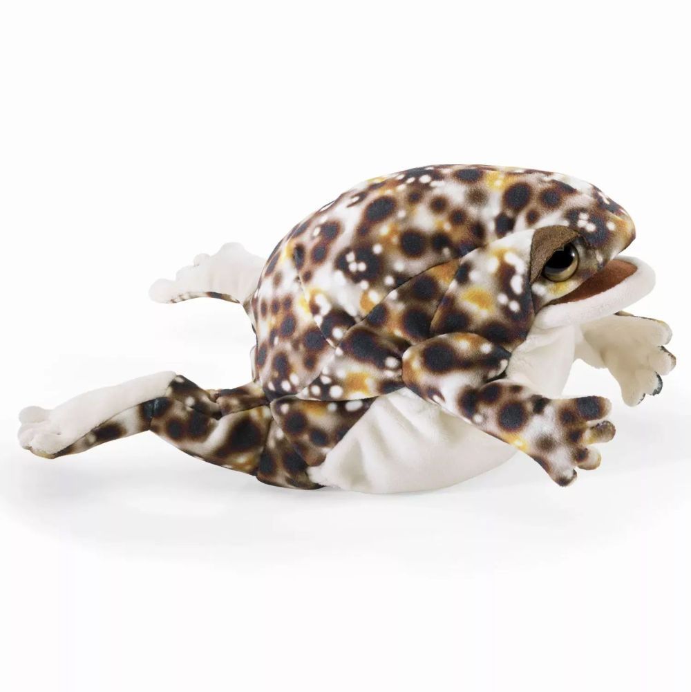 Frosch Wüstenregenfrosch- Folkmanis
