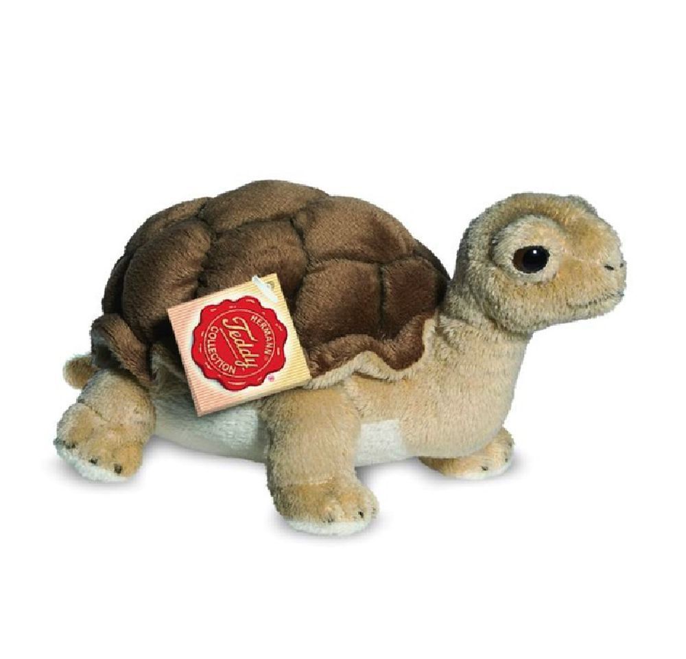 Schildkröte - Hermann Teddy