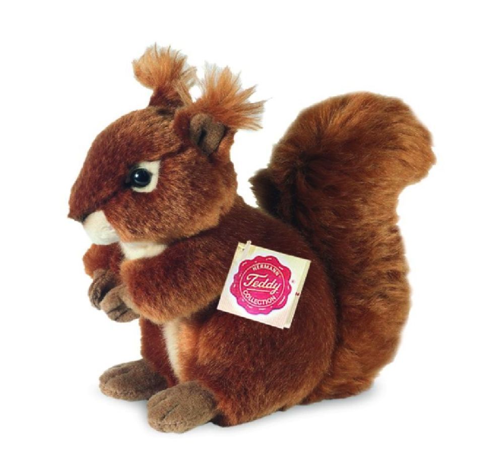 Eichhörnchen - Hermann Teddy