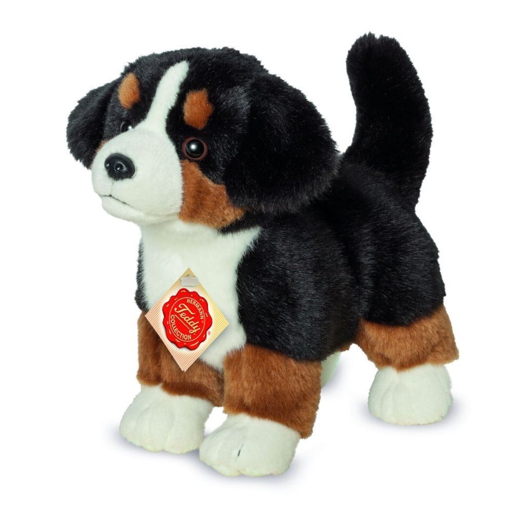 Berner Sennen Hund  - Hermann Teddy