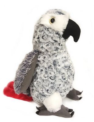 Graupapagei - Ravensden