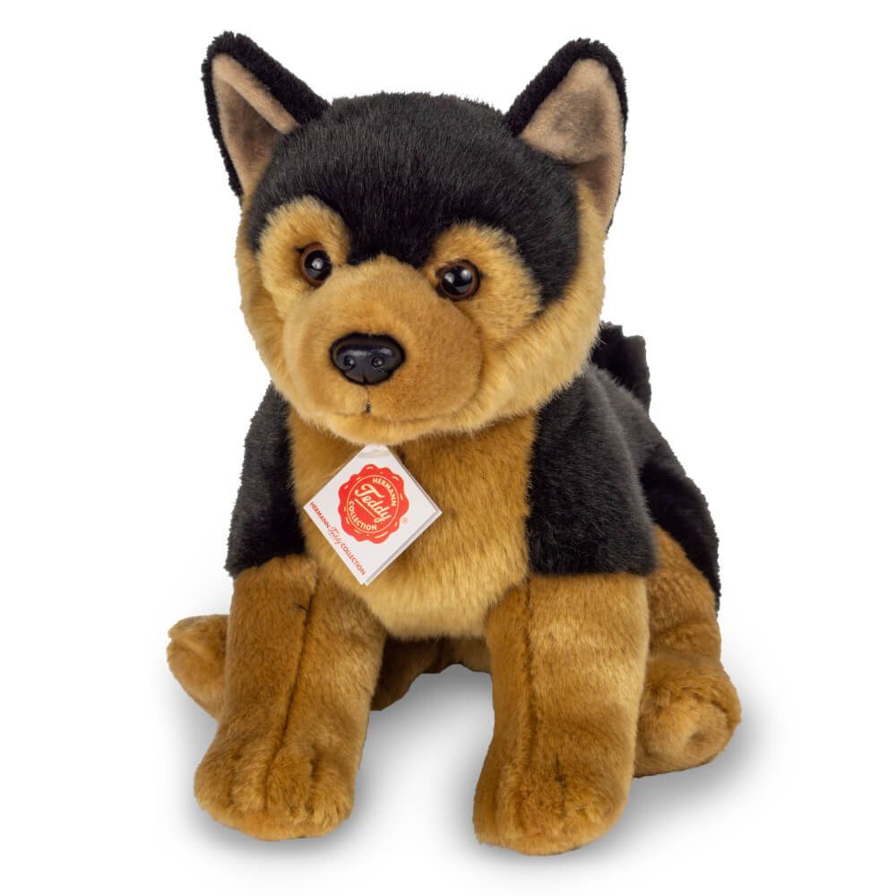 Hund Schäferhund Welpe - Hermann Teddy