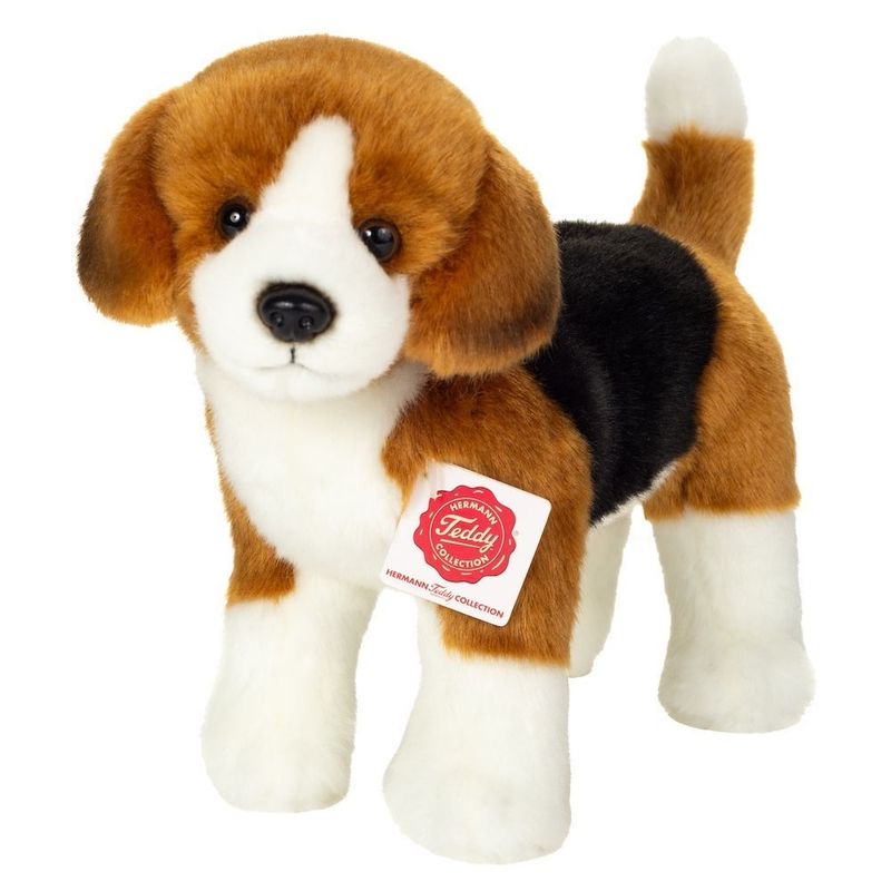 Hund Beagle - Hermann Teddy
