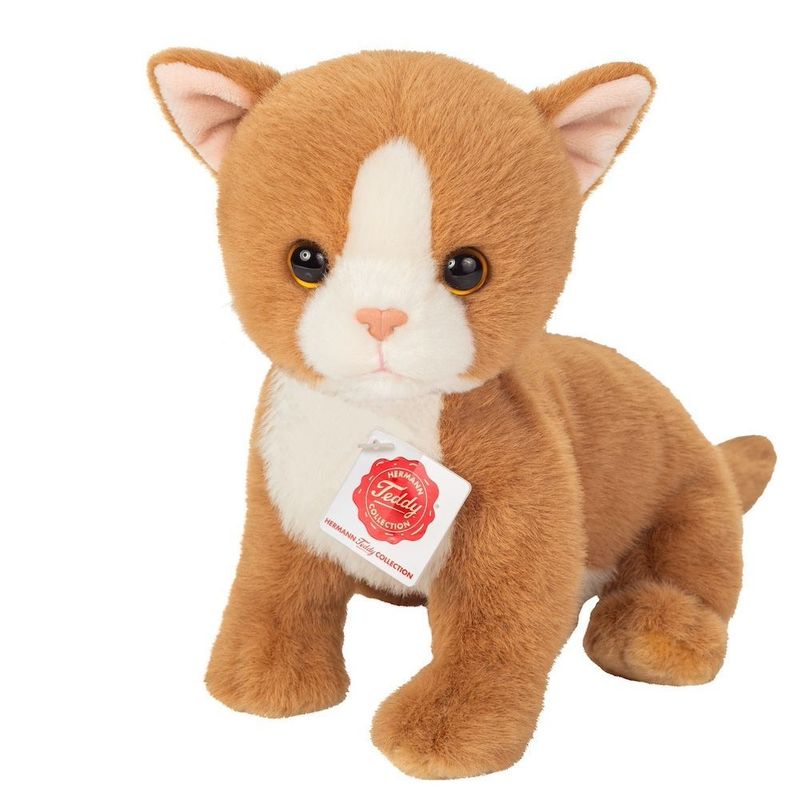 Katze Babykatze rot - Hermann Teddy