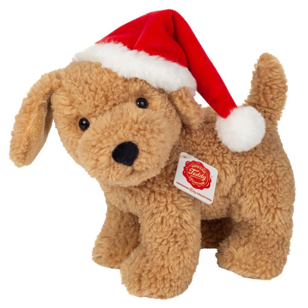 Hund mit Weihnachtsmütze - Hermann Teddy