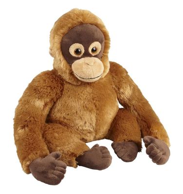 Orang-Utan - Ravensden