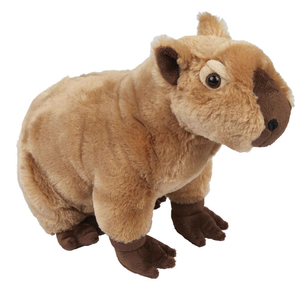 Capybara Wasserschwein - Ravensden