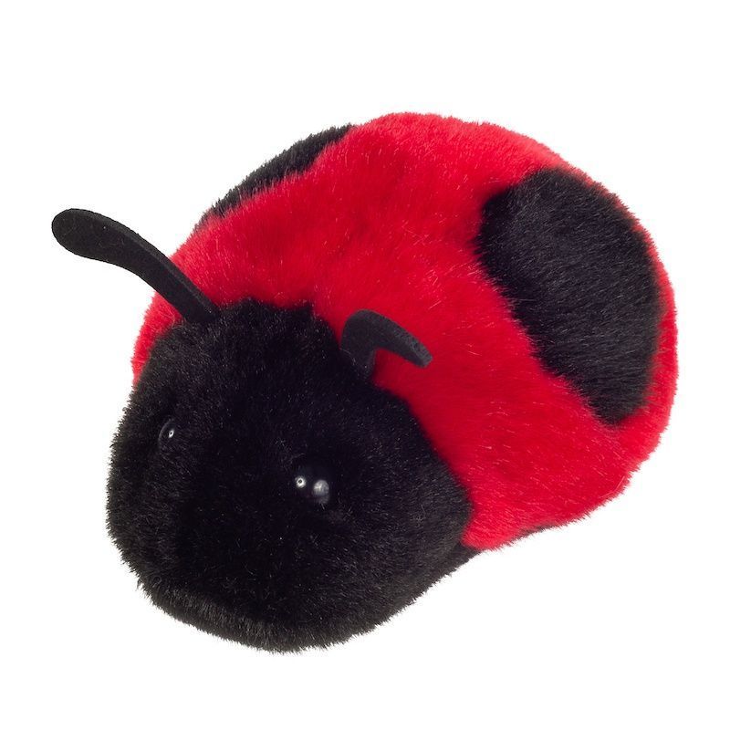Marienkäfer - Hermann Teddy