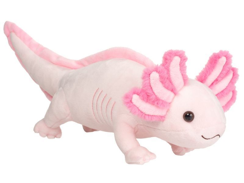 Axolotl - Hermann Teddy