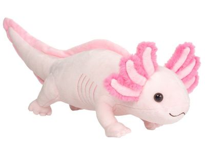 Axolotl - Hermann Teddy