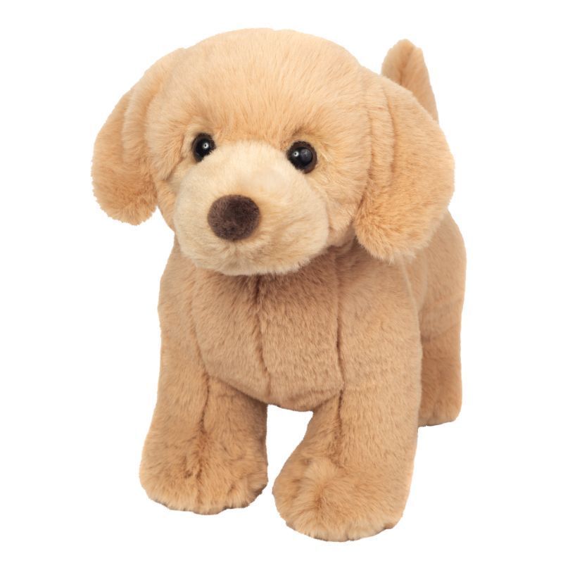 Hund Golden Retriever stehend - Hermann Teddy