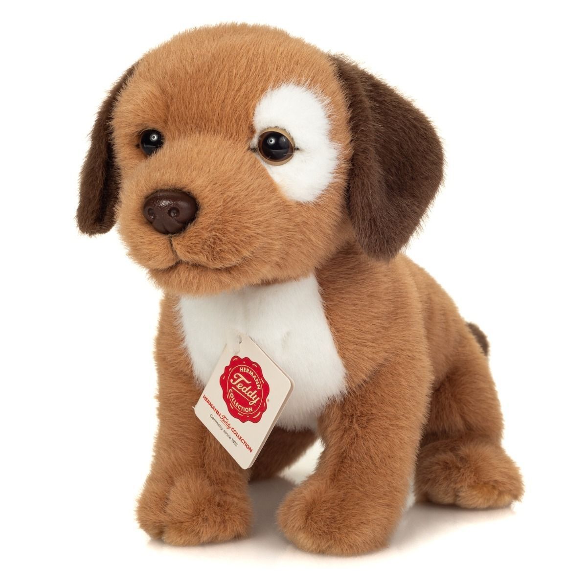Hund Milow Welpe - Hermann Teddy