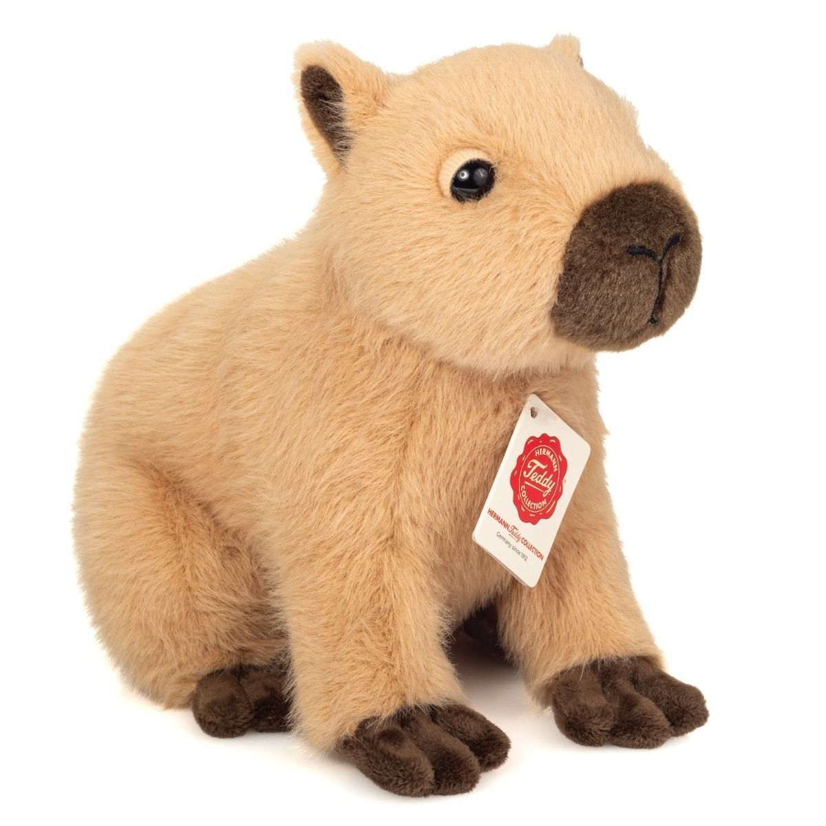 Capybara Wasserschwein  - Hermann Teddy