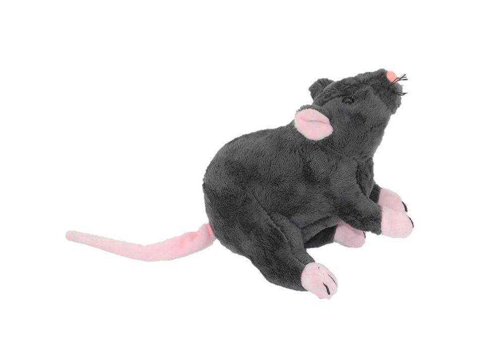 Ratte - Cornelißen