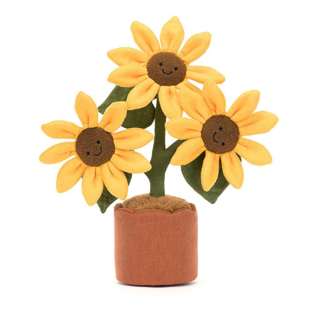 Sonnenblume Sunflower - Plants & Woodland
