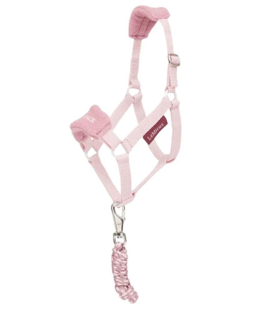 Halfter Vogue Rosa - LeMieux Hobby Horse