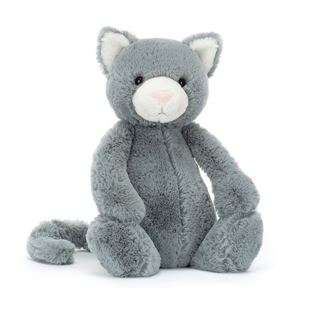 Katze  Kitten Original - Bashfuls