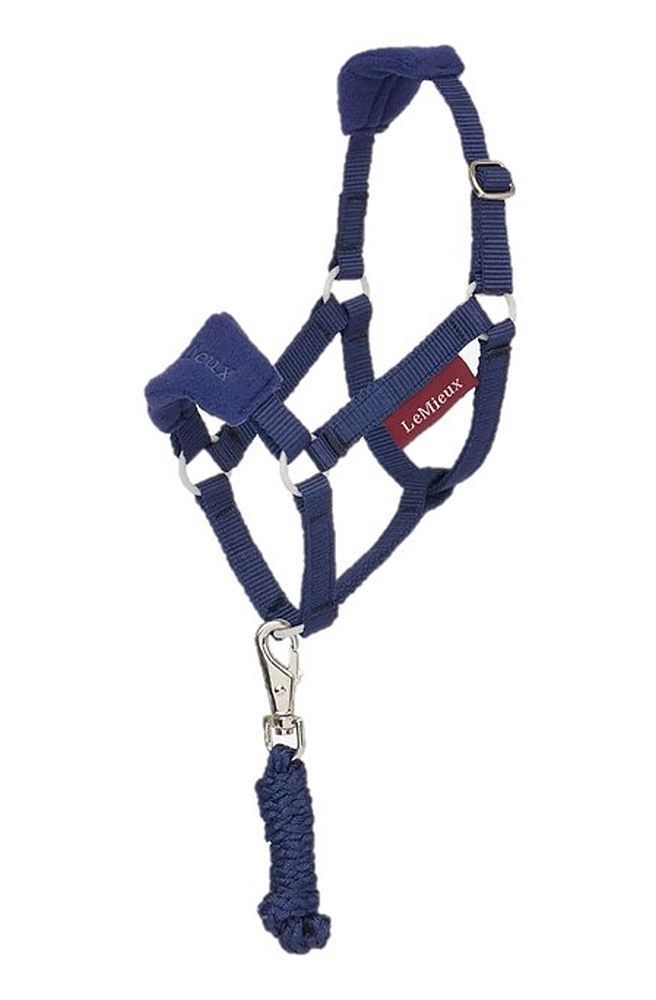 Halfter Vogue Blau - LeMieux Hobby Horse