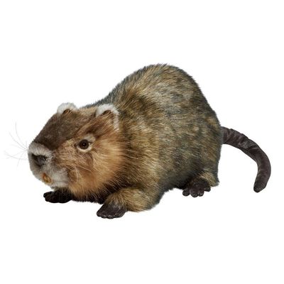 Biberratte 55 cm – naturgetreu gestaltetes Plüschtier mit weichem Fell