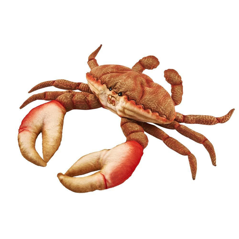 Krabbe Stofftier 35 cm – naturgetreu & bunt für Sammler und kleine Meeresforscher