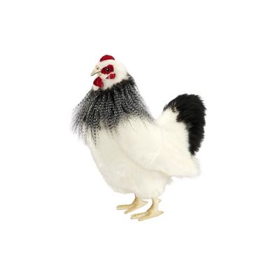 Huhn Schwarz/Weiss - Hansa Creation Huhn Schwarz/Weiß 30 cm – naturgetreues Bauernhoftier als Plüschtier
