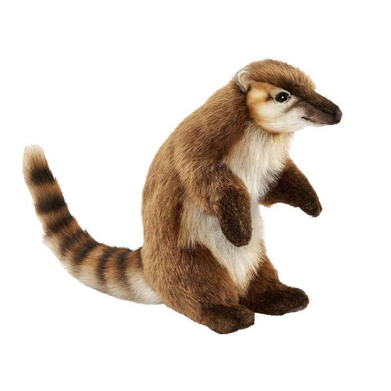Nasenbär 27 cm – naturgetreues Stofftier mit langer Schnauze und realistischer Optik