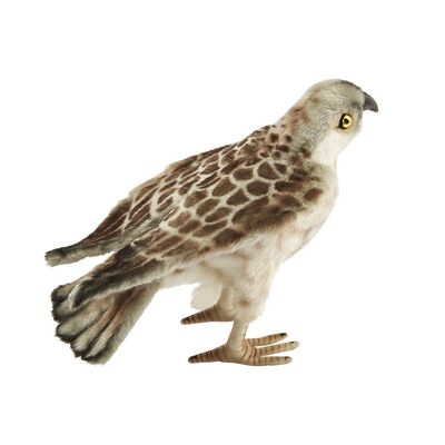 Rötelfalke 35 cm – naturgetreues Plüschtier mit fein gezeichnetem Gefieder