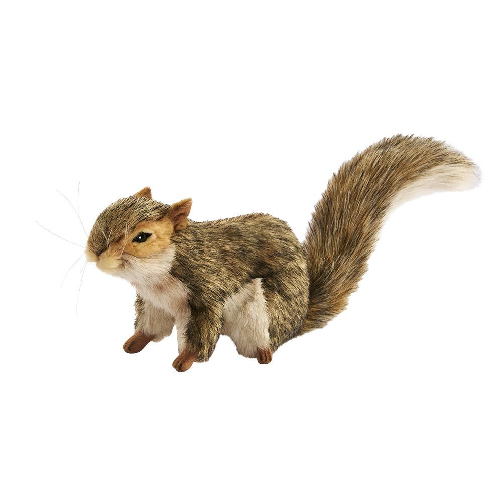 Grauhörnchen 22 cm – naturgetreues Plüschtier mit buschigem Schwanz
