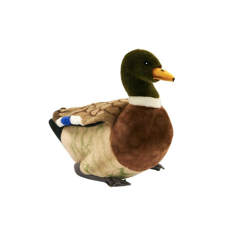 Stockente 34 cm – lebensechtes Kuscheltier mit realistischem Federkleid